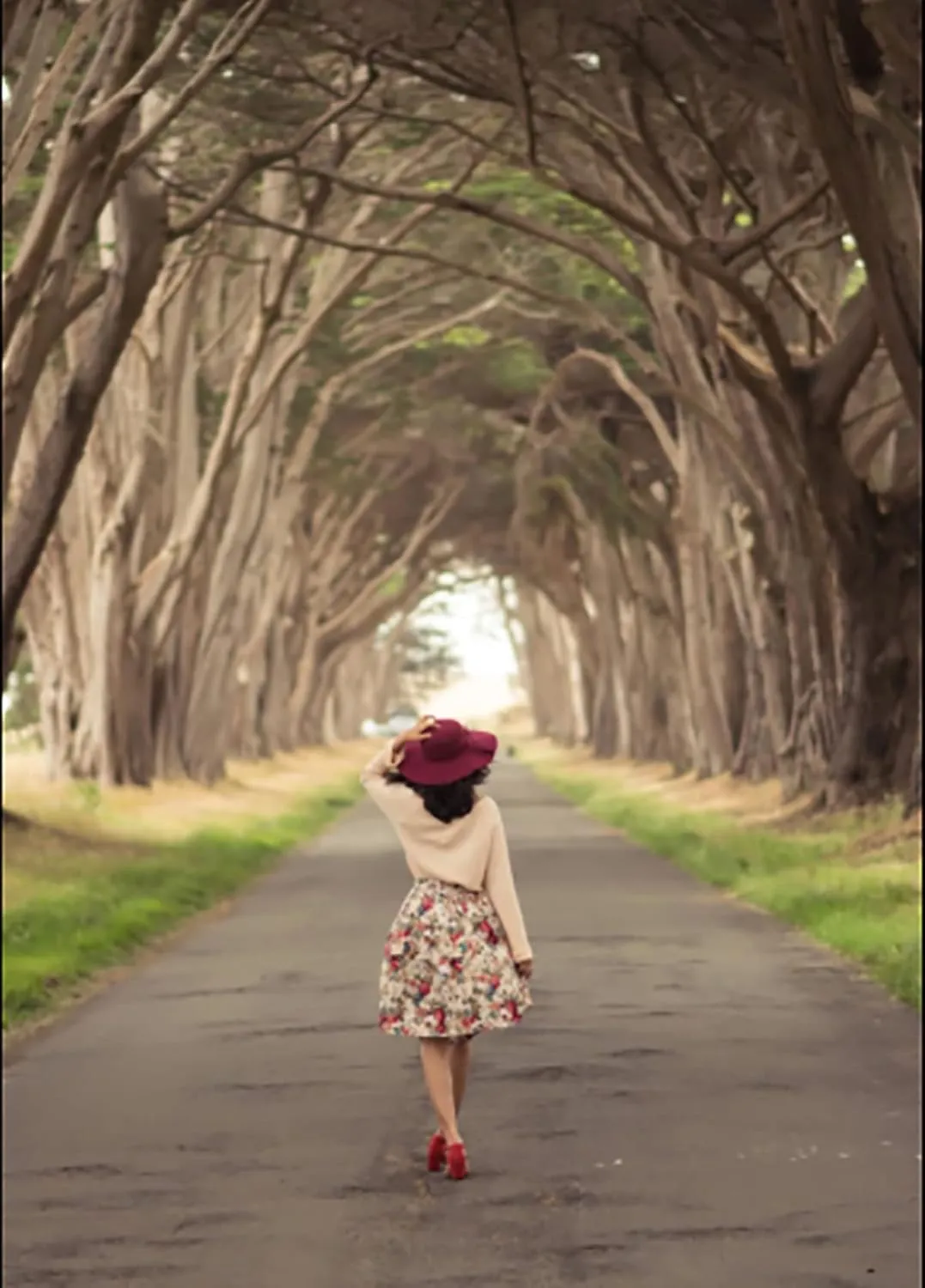 Taydey A-Line Pleated Vintage Skirts for Women